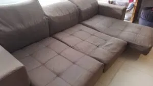 Bactérias e fungos que podem ser eliminados com a limpeza de sofá
